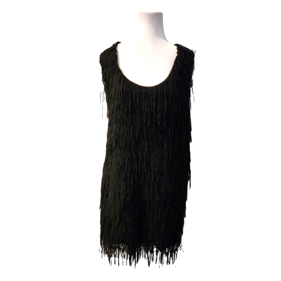 Fringe Slip On Dress - Picture 1 of 3